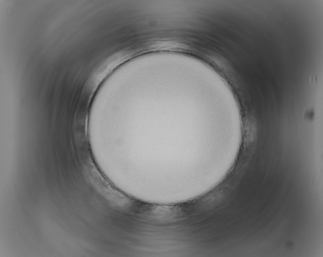 X0000114721322200911181355