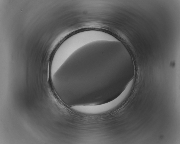 X0000114721323200911181355