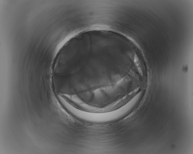 X0000114721325200911181355