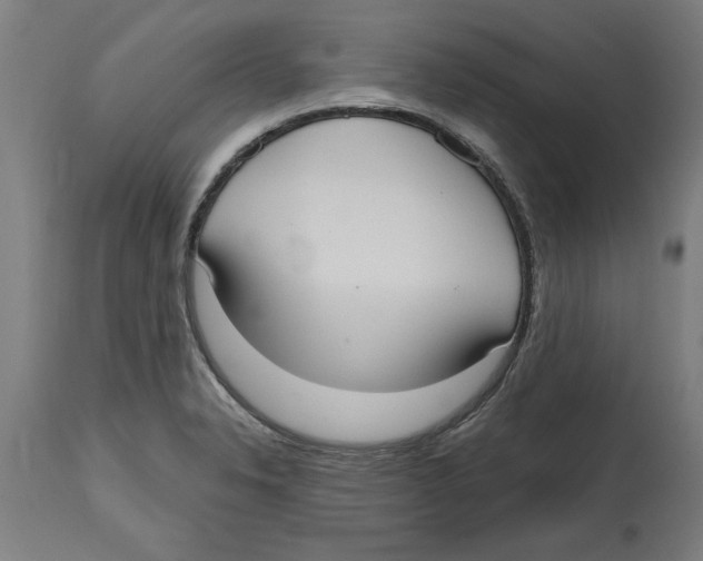 X0000114721326200911181355