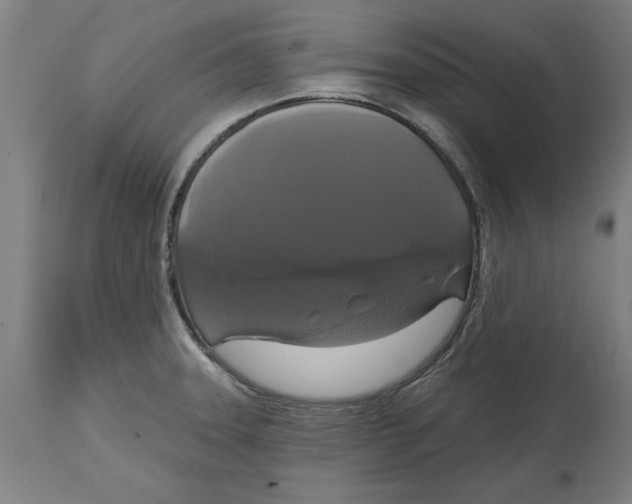 X0000114721331200911181355