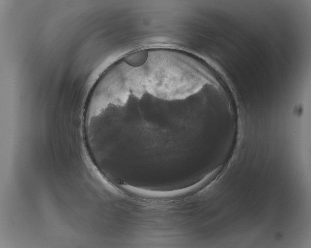 X0000114721333200911181355