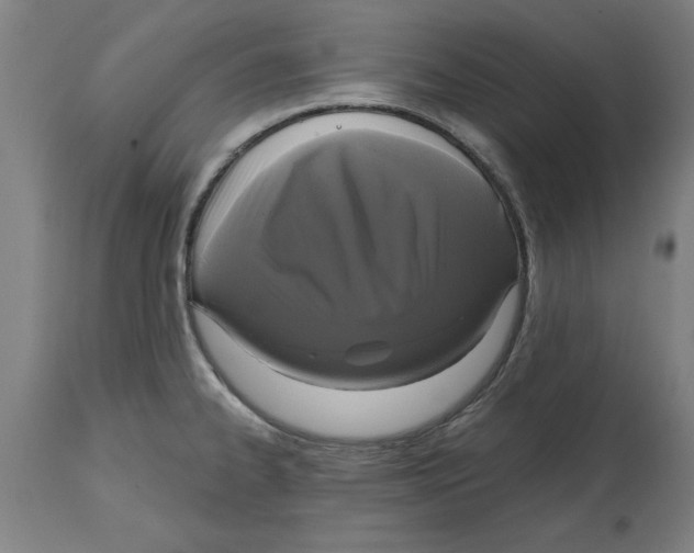 X0000114721334200911181355