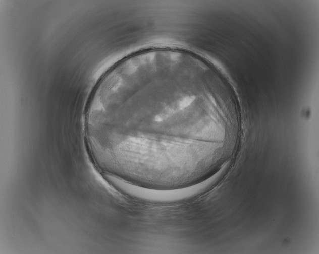 X0000114721335200911181355