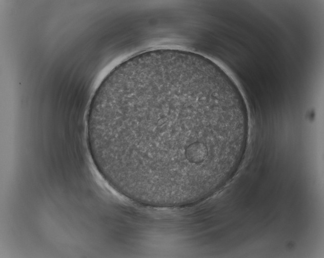 X0000114721341200911181355