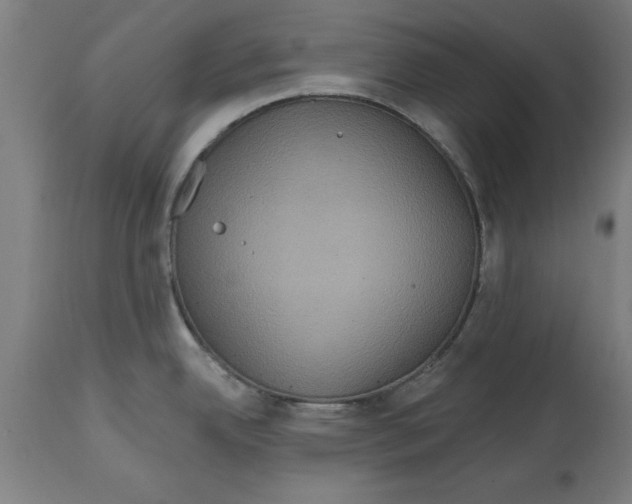 X0000114721342200911181355