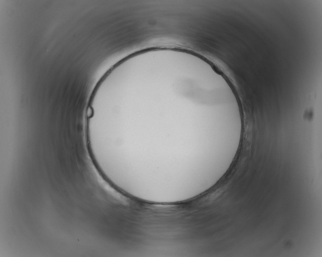 X0000114721343200911181355