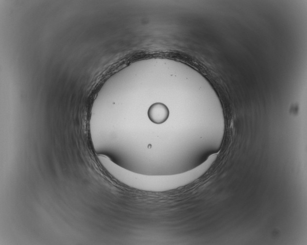 X0000114721348200911181354