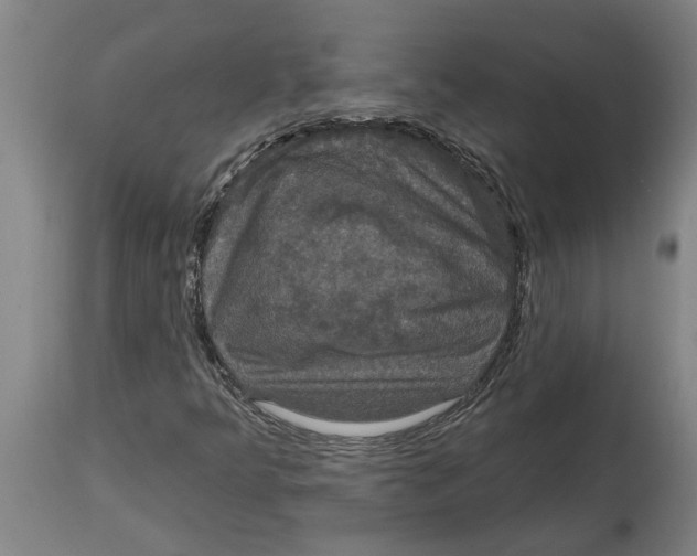 X0000114721349200911181354