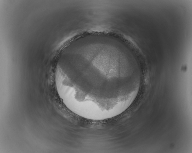 X0000114721350200911181354