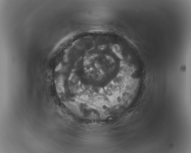 X0000114721351200911181354