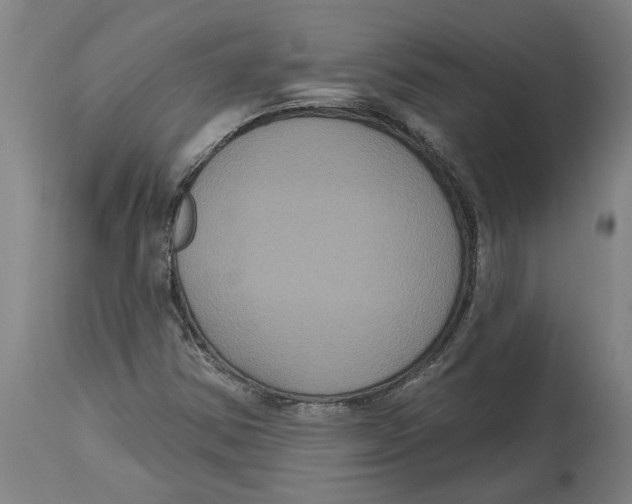 X0000114721354200911181354