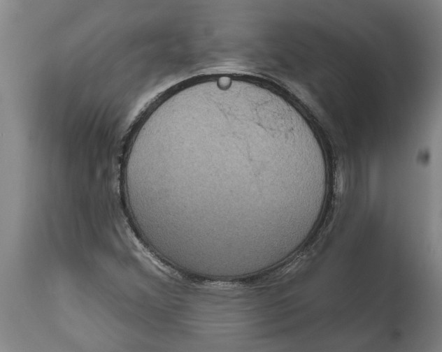 X0000114721356200911181354