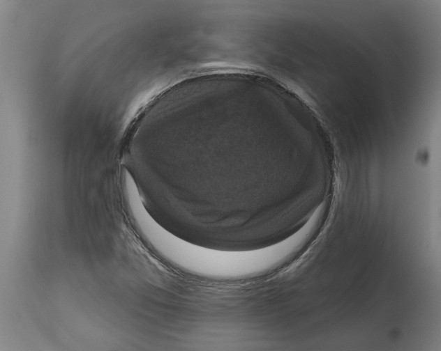 X0000114721357200911181354