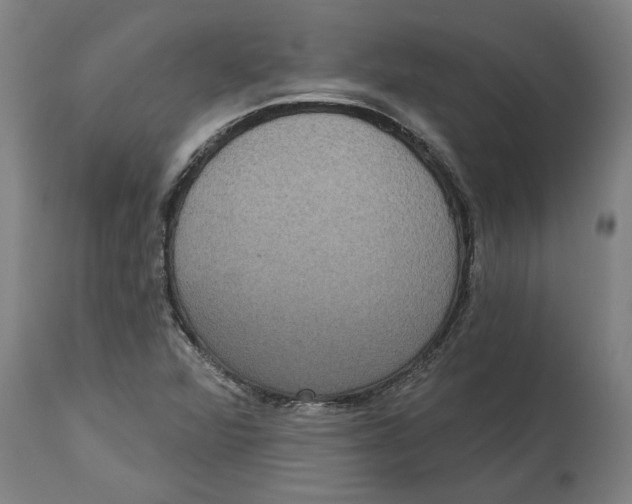 X0000114721360200911181354