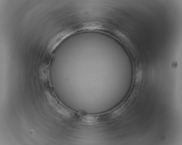 X0000114721361200911181354