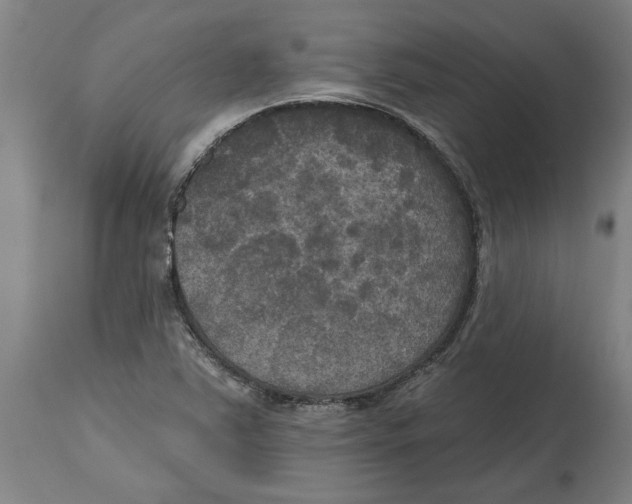 X0000114721363200911181354