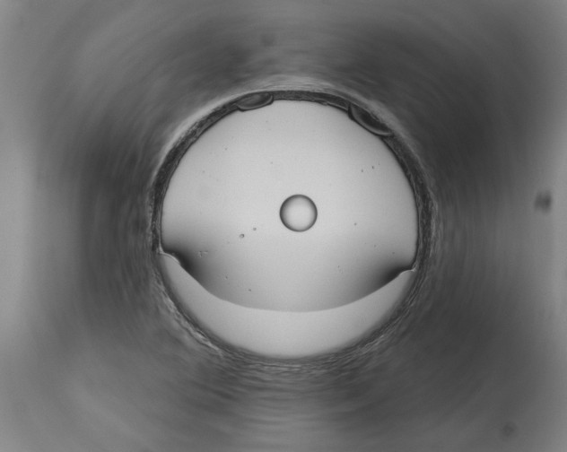 X0000114721364200911181354