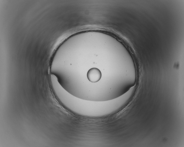 X0000114721365200911181354