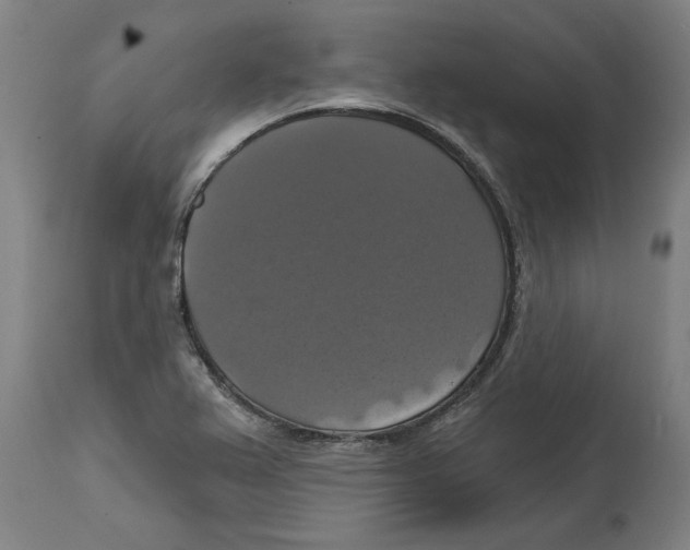 X0000114721367200911181354