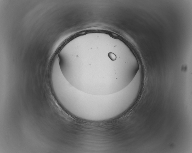 X0000114721368200911181354