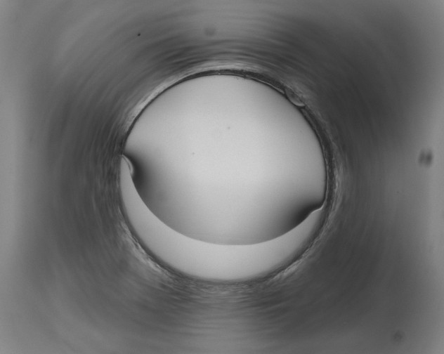 X0000114721369200911181354