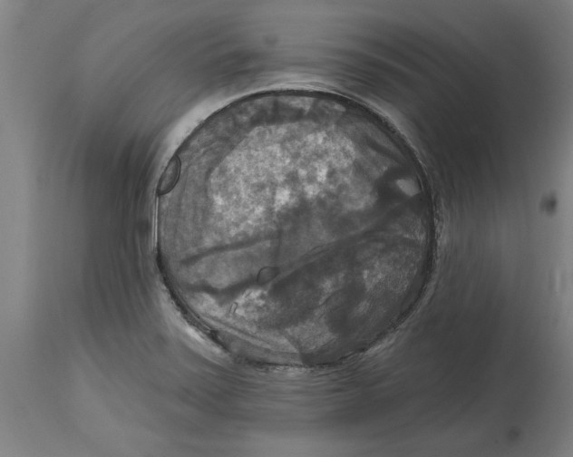 X0000114721371200911181354