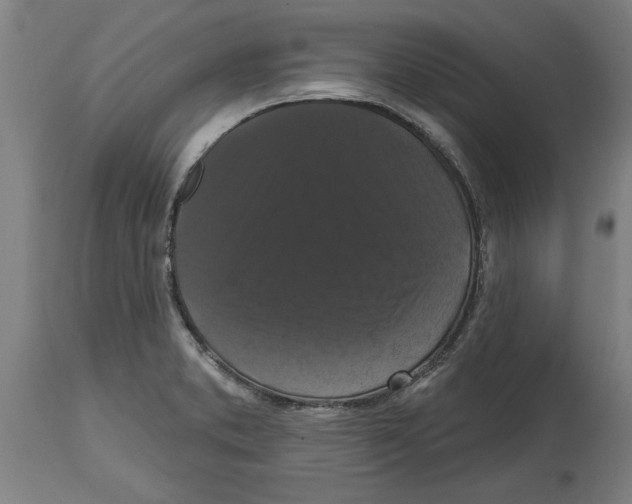 X0000114721373200911181354