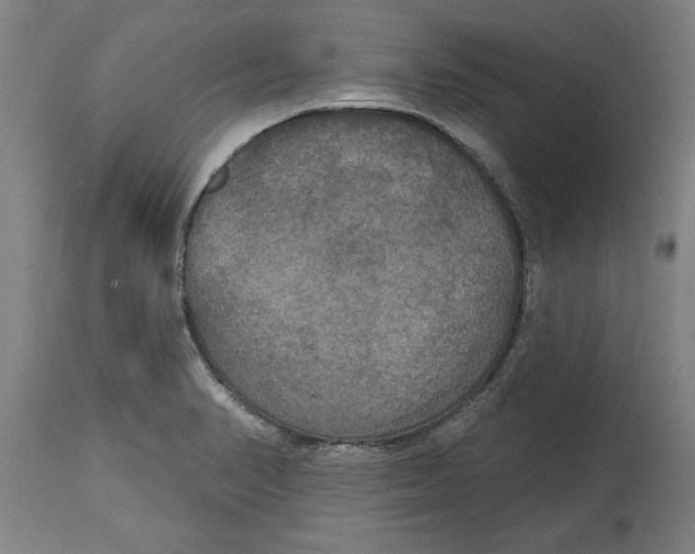 X0000114721374200911181354