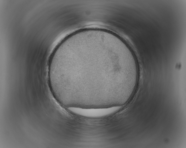 X0000114721376200911181354