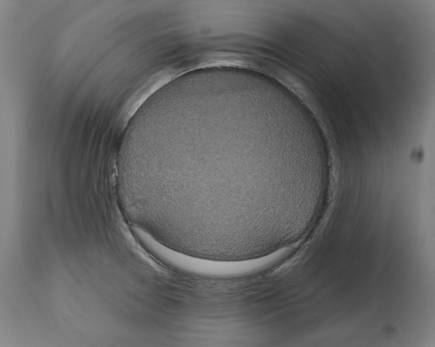 X0000114721377200911181354