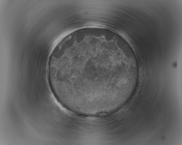 X0000114721379200911181354