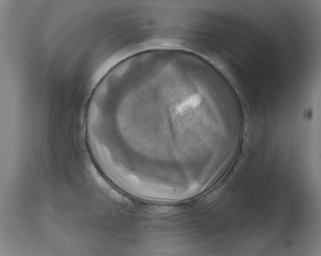 X0000114721382200911181354