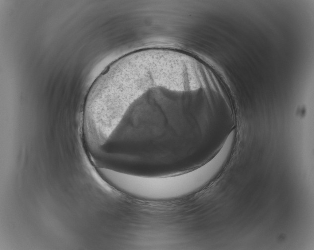 X0000114721383200911181354