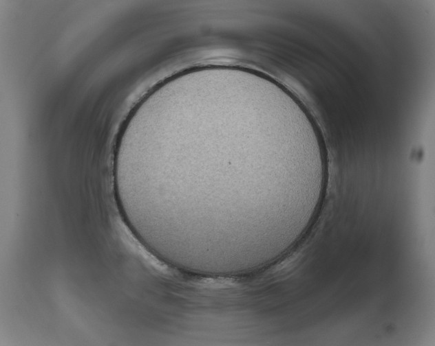 X0000114721384200911181354