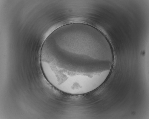 X0000114721386200911181354