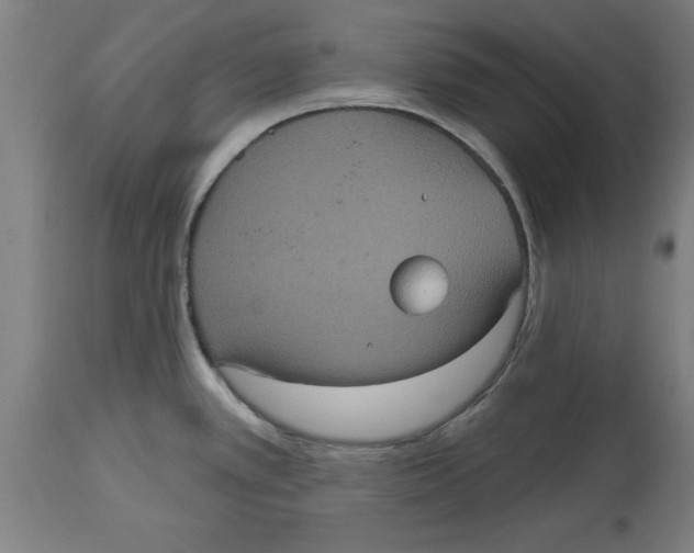 X0000114721389200911181354