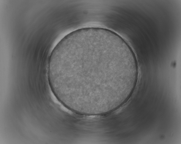 X0000114721390200911181354