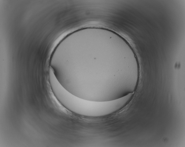 X0000114721392200911181354