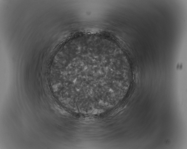 X0000114721393200911181353