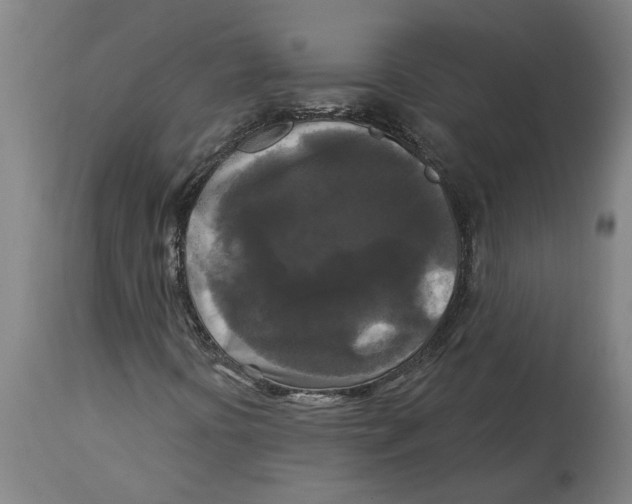 X0000114721394200911181353