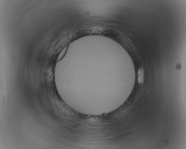 X0000114721395200911181353