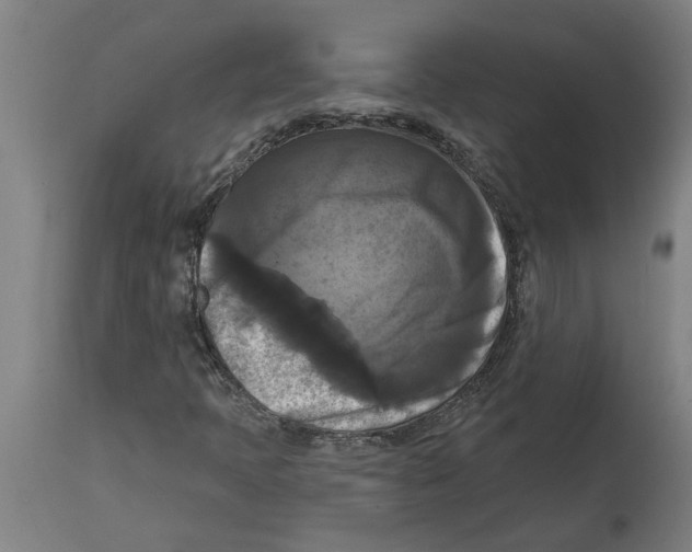 X0000114721397200911181353