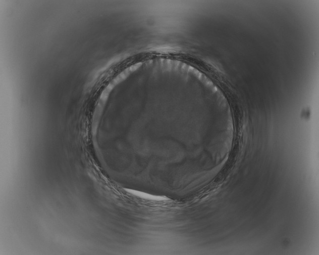 X0000114721398200911181353