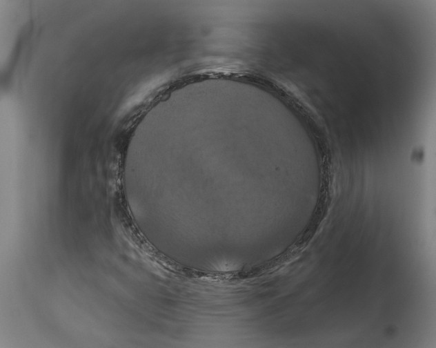 X0000114721399200911181353