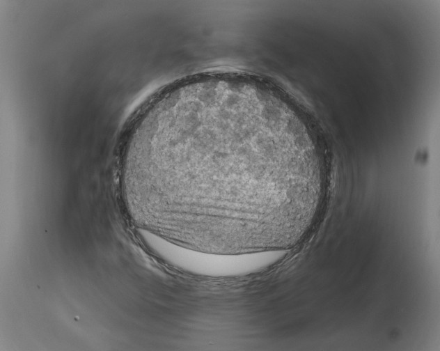 X0000114721400200911181353