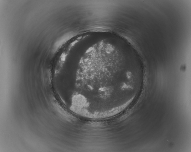 X0000114721402200911181353