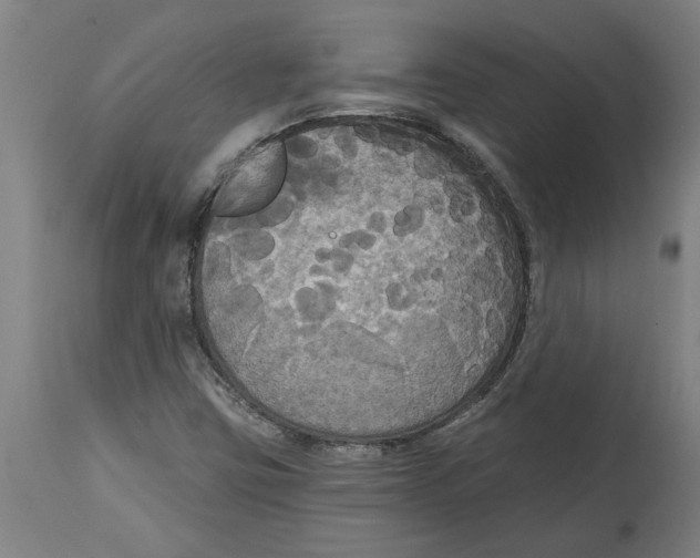 X0000114721403200911181353