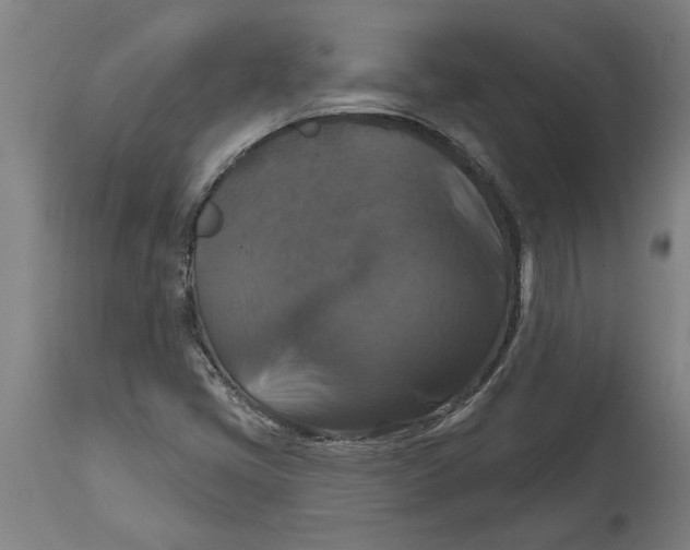 X0000114721405200911181353