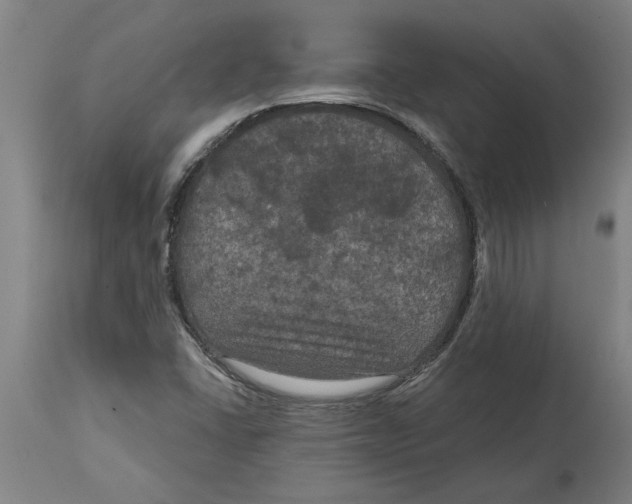 X0000114721406200911181353